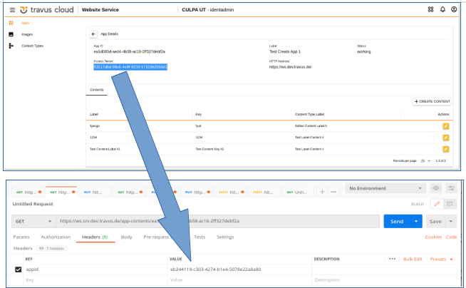 Paste access token in query param