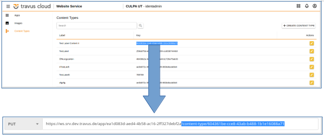 Paste the content-type key in request URL field